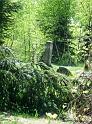 Na vrcholu v roce 2006